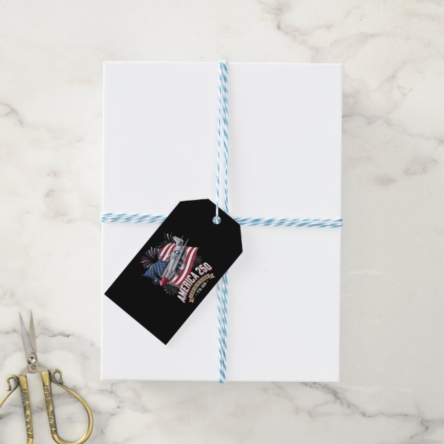 America 250th Anniversary Plane Gift Tags (With Twine)