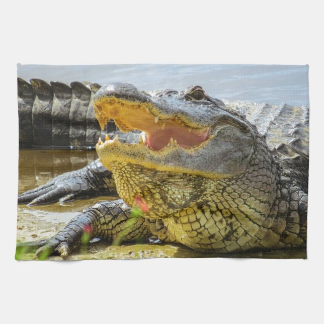 America alligator closeup. Face to face Kitchen Towel (Horizontal)
