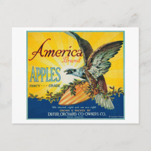America Apple Crate LabelDufur, OR Postcard