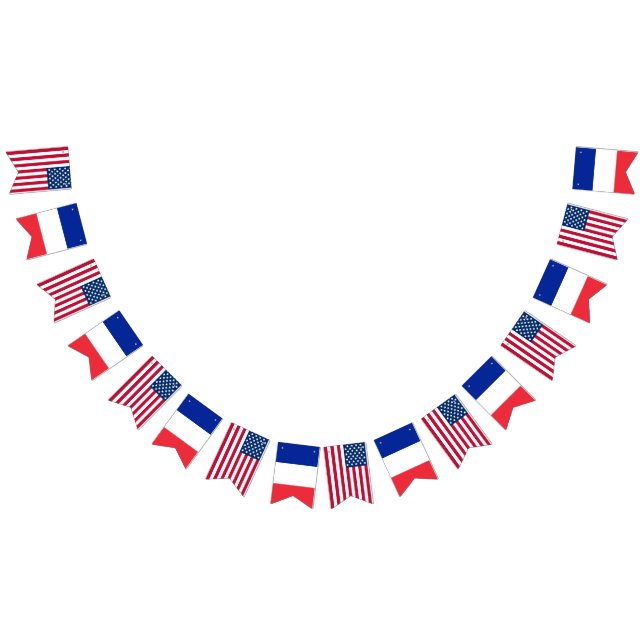 America France Wedding Bunting Flags (All)