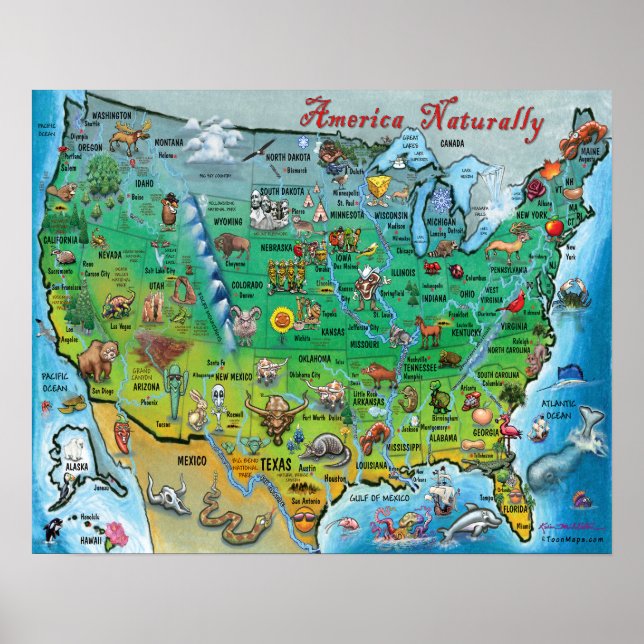 America Naturally Fun Map Poster (Front)