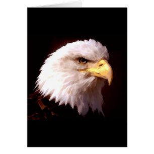 Américain Eagle d'Eagle chauve