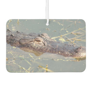 American Alligator Air Freshner Car Air Freshener