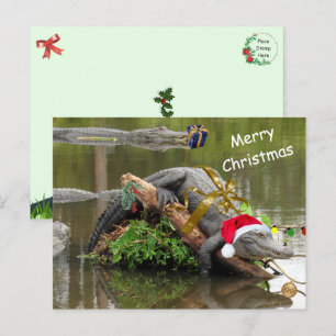 American Alligator Christmas Postcard