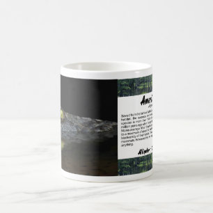 American Alligator Coffee Mug