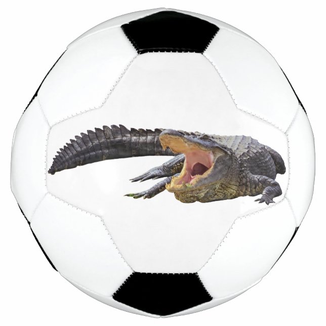 American alligator - Florida wildlife Soccer Ball (Front)
