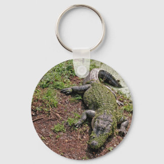 American Alligator Keychain