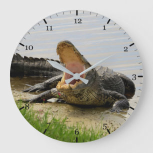 American alligator large clock
