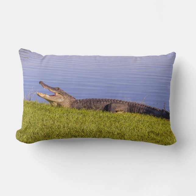 American alligator lumbar pillow (Front)