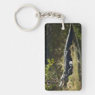 American Alligator on a Florida Grassy Bank  Keychain