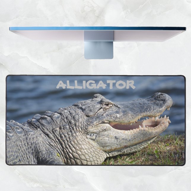 American Alligator Photographie Faune Closeup (Créateur téléchargé)