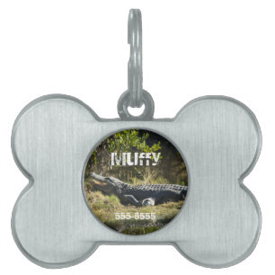 American Alligator Resting Florida Personalize Pet Name Tag