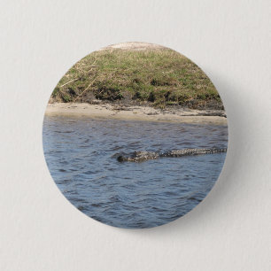 American Alligator Swimming in a Marsh River Photo 2 Inch Round Button