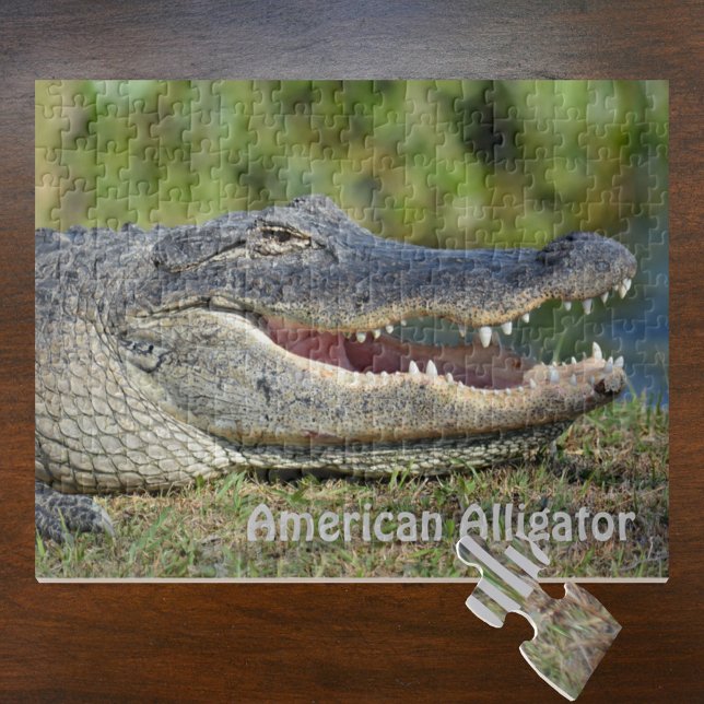 American Alligator Wildlife Photography Jigsaw Puzzle (Creator Uploaded)
