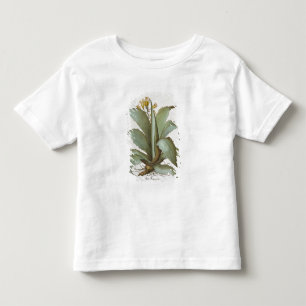 American Aloe: Aloe Americana, from the 'Hortus Ey Toddler T-shirt