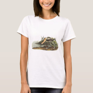 American Avocet by Audubon T-Shirt