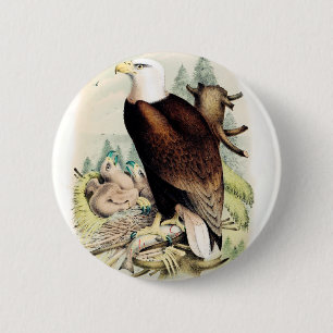 American Bald Eagle 2 Inch Round Button