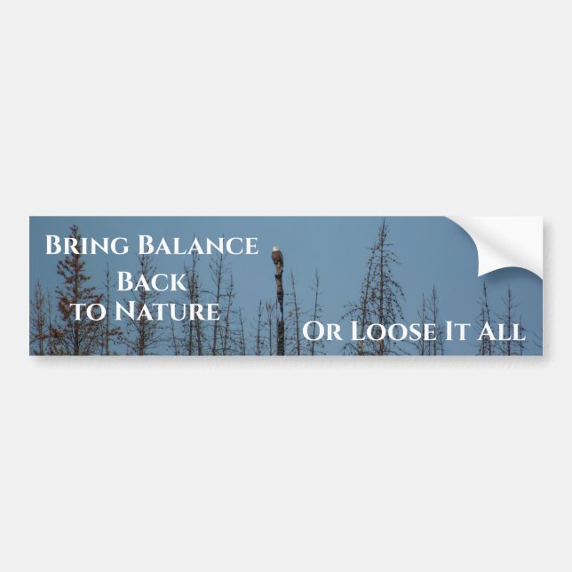 American Bald Eagle 8974 Bumper Sticker (Front)