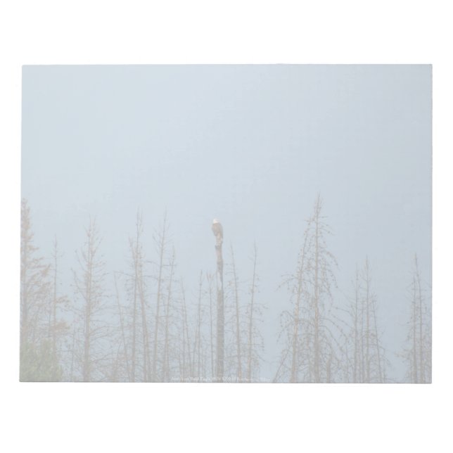 American Bald Eagle 8974 Notepad (Front)