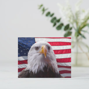 American Bald eagle and American Flag Postcard
