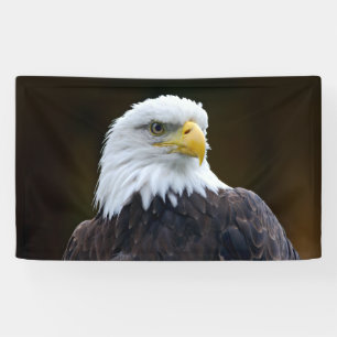 American Bald Eagle Banner
