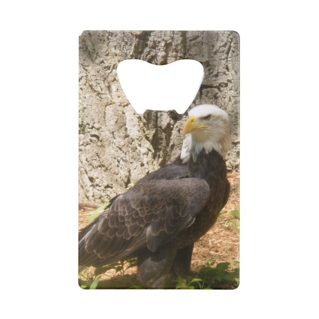 American Bald Eagle Bottle Opener Credit Card Bottle Opener (Back)
