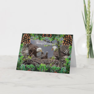 American Bald Eagle Christmas Card