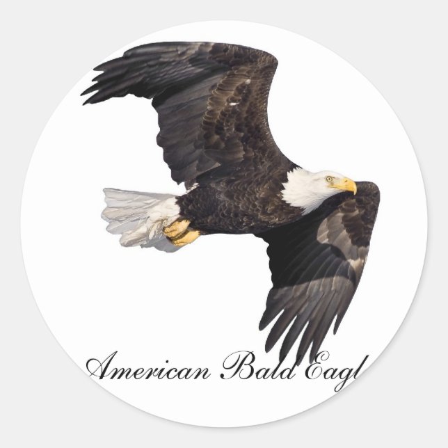 American bald Eagle Classic Round Sticker (Front)