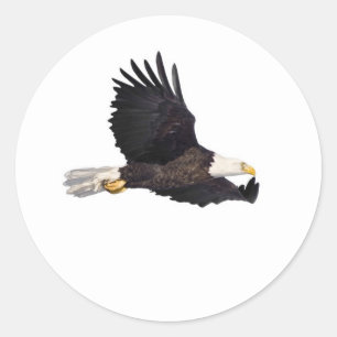 American Bald eagle Classic Round Sticker