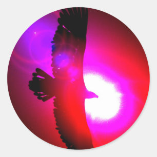 American Bald Eagle Classic Round Sticker