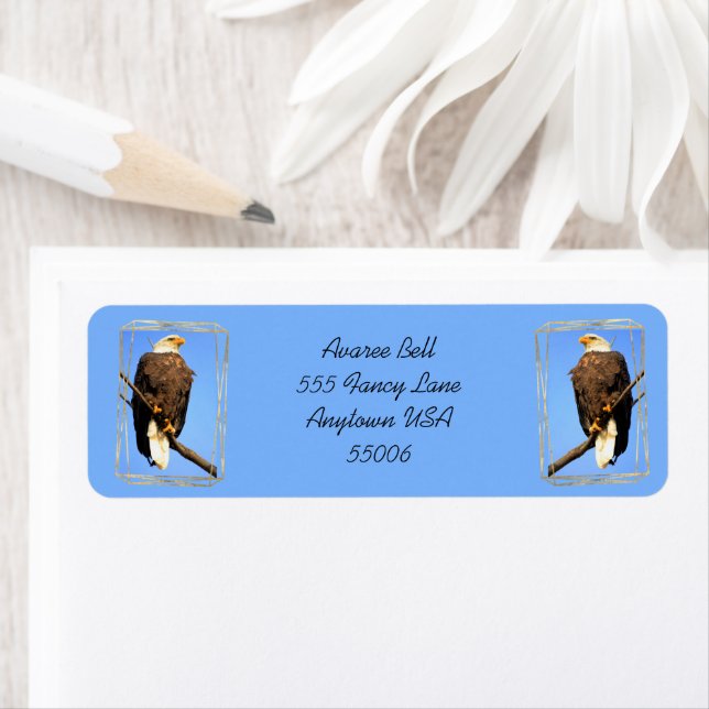 American Bald Eagle En Or Frame (En situation)