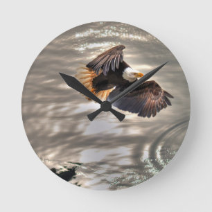 American Bald Eagle Flying Over Ocean Round Clock