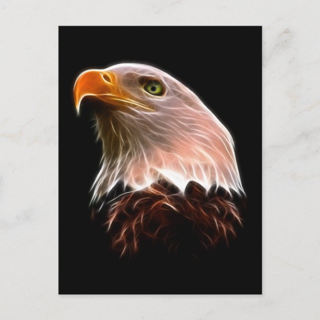 American Bald Eagle Head Postcard (Front)