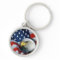 american bald eagle
