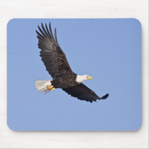 American Bald Eagle Mouse Pad