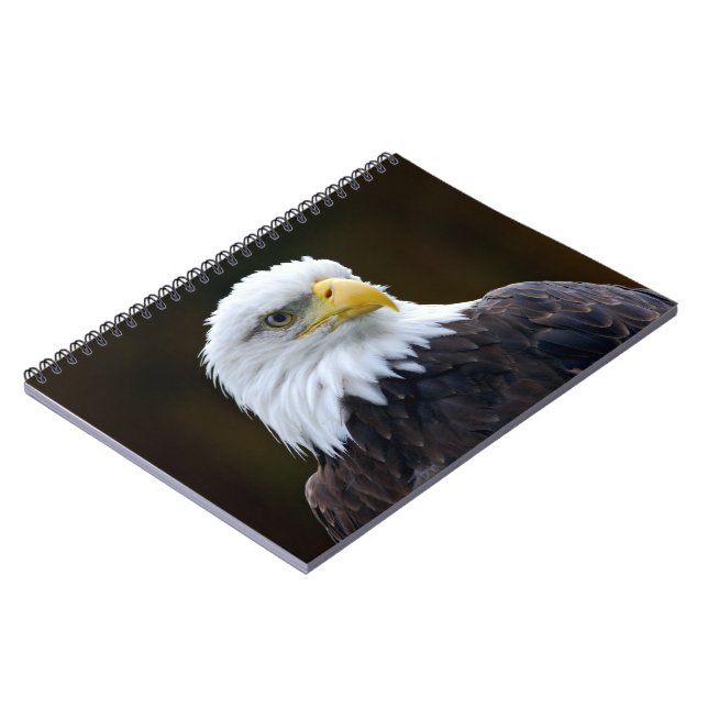 American Bald Eagle Notebook (Left Side)