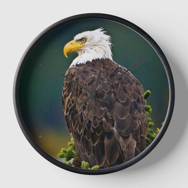 American Bald Eagle Perched Clock (Front)