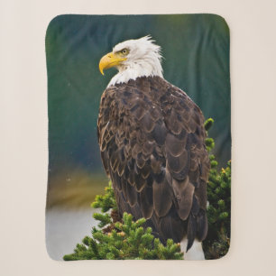 American Bald Eagle Perched Sherpa Blanket