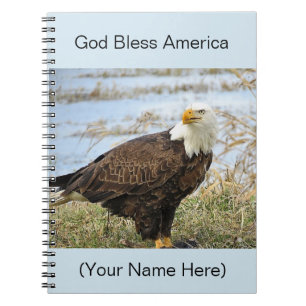 American Bald Eagle Photo sur un 8x10 Journal