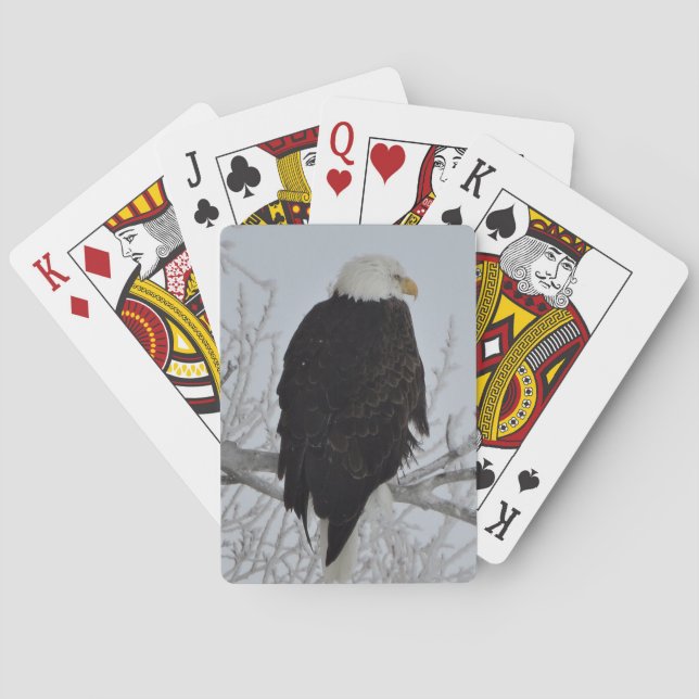 American Bald Eagle Playing Cards (Back)
