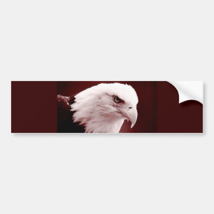 American Bald Eagle Portrait Bumper Sticker