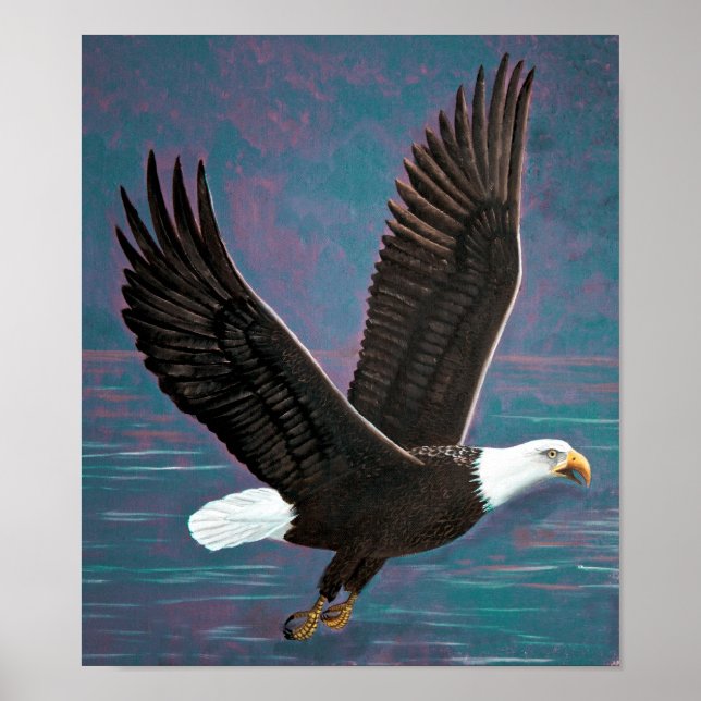 American Bald Eagle Print (Front)