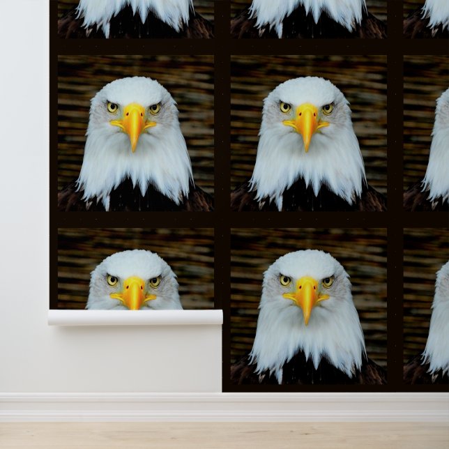 American Bald Eagle Wallpaper (Application)