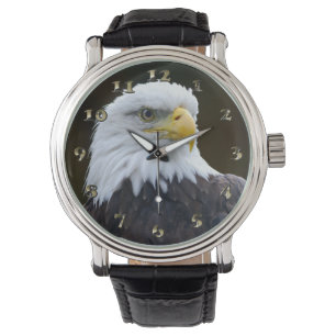 American Bald Eagle Watch