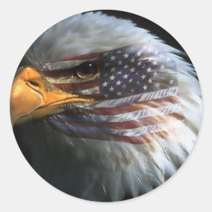 American bald eagle with American flag stickers