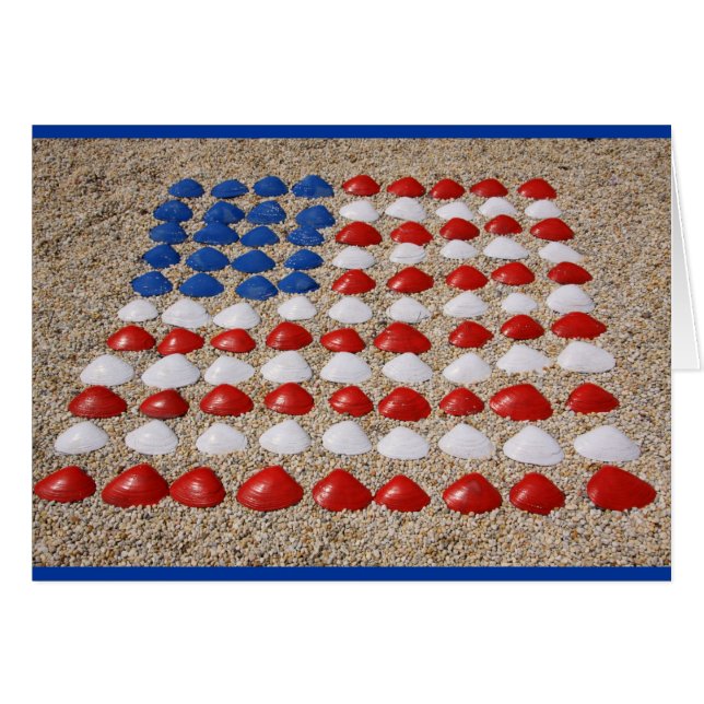 American Beach SeaShells (Front Horizontal)