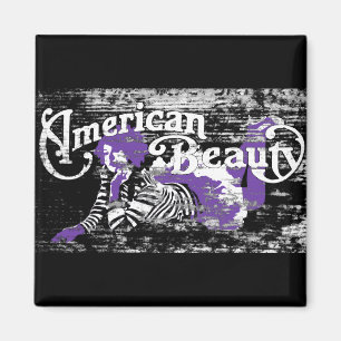 american beauty magnet