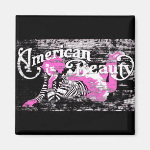 american beauty magnet