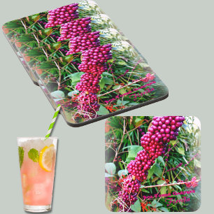 American Beautyberry at Bok Tower Gardens Florida Coaster