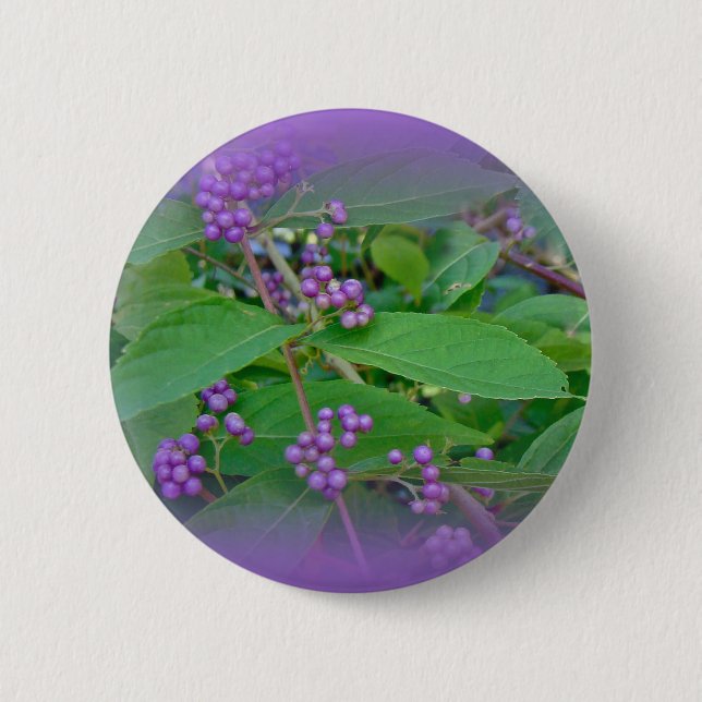 American Beautyberry (Callicarpa americana) 2 Inch Round Button (Front)